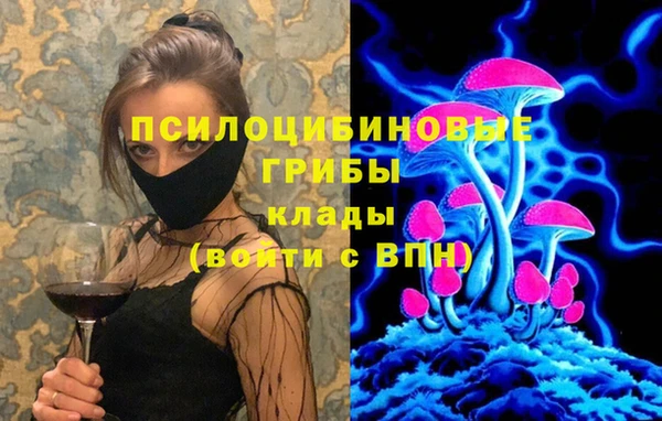 гидра Армянск